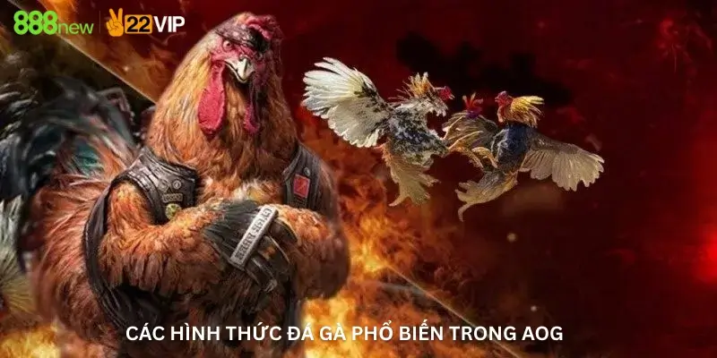 Các hình thức đá gà phổ biến trong AOG 