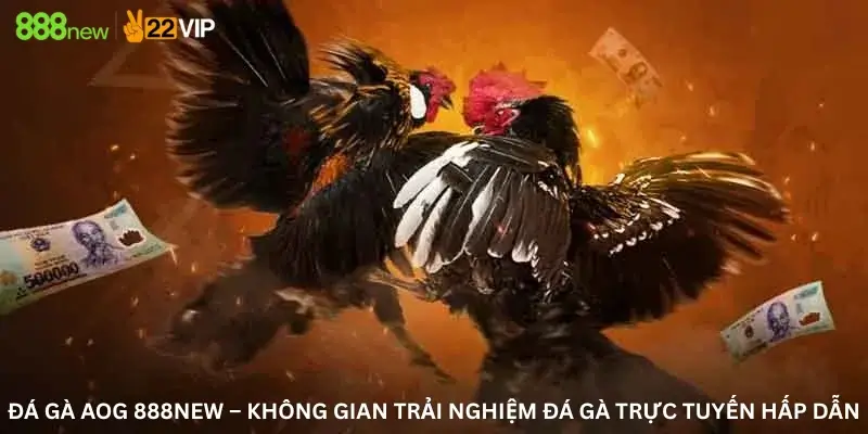 Đá gà AOG 888New – Không Gian Trải Nghiệm Đá Gà Trực Tuyến Hấp Dẫn