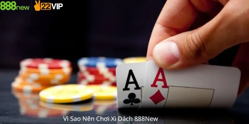 Vì Sao Nên chơi Xì Dách 888New