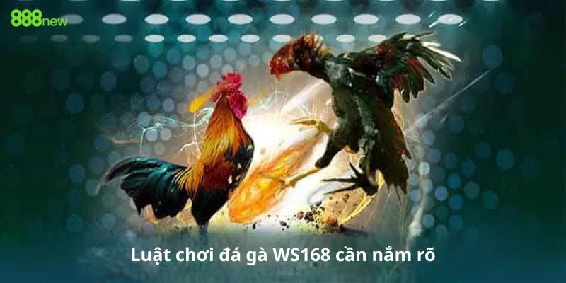 Luật chơi đá gà WS168 cần nắm rõ